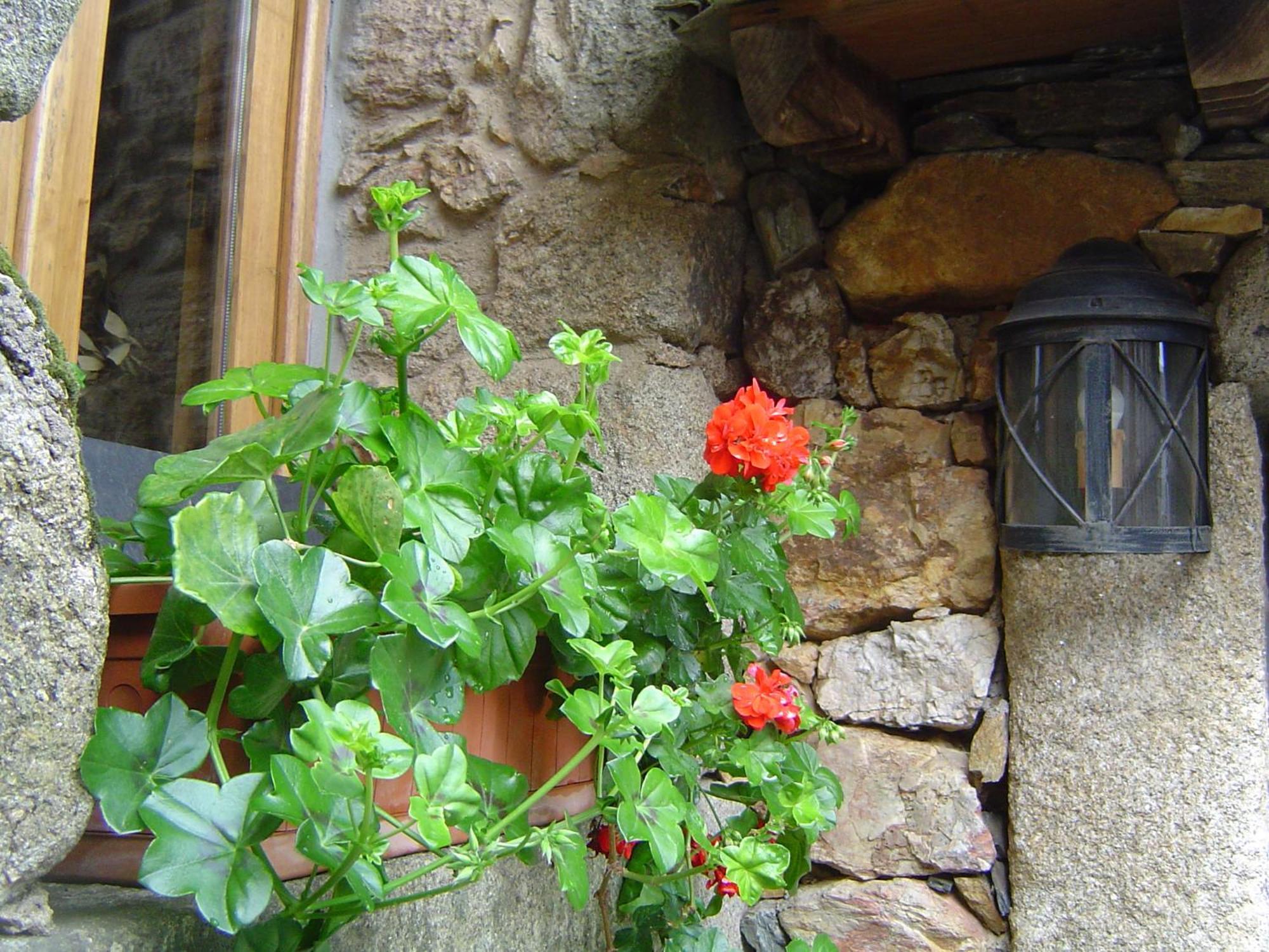 Casa Do Pinto Guest House Arouca Exterior photo