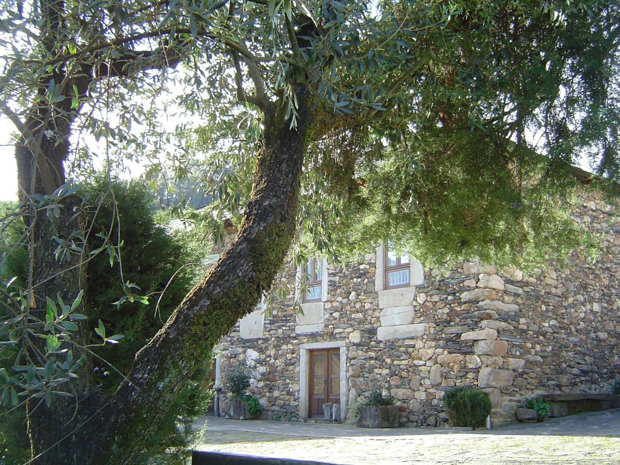Casa Do Pinto Guest House Arouca Exterior photo